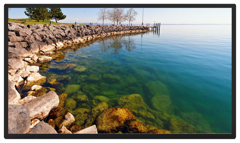Wall-mounted Digital Signage 65–115 in